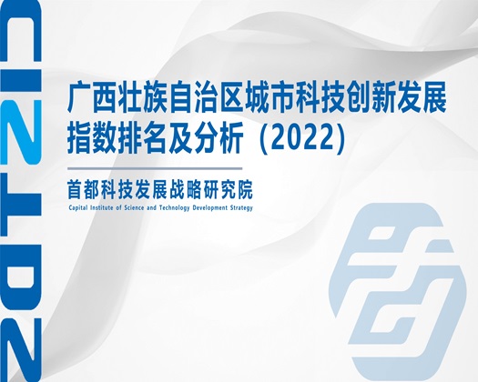 美女传媒操逼【成果发布】广西壮族自治区城市科技创新发展指数排名及分析（2022）